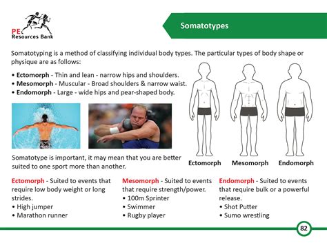 new aqa gcse pe smart cards|aqa gcse pe flash cards.